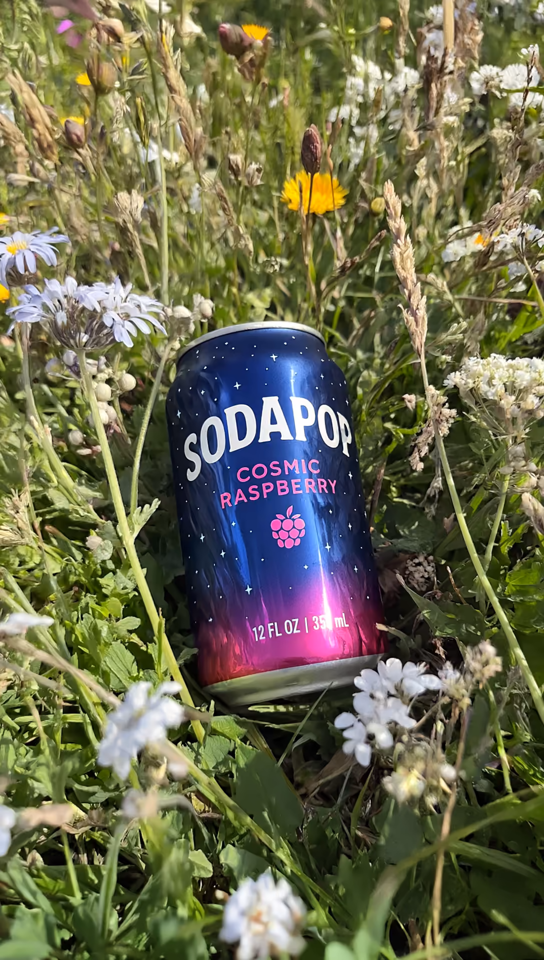 Soda can wildflower meadow hero image