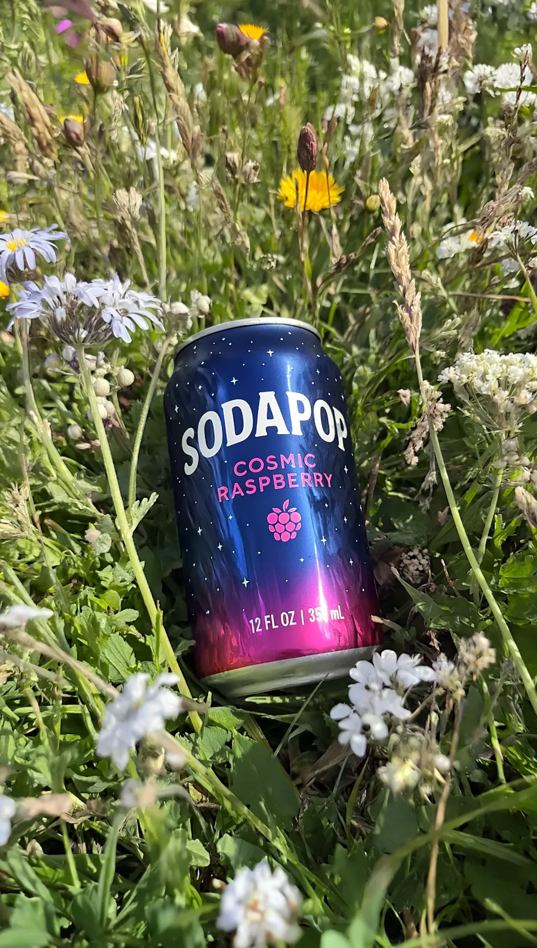 Soda can wildflower meadow hero image