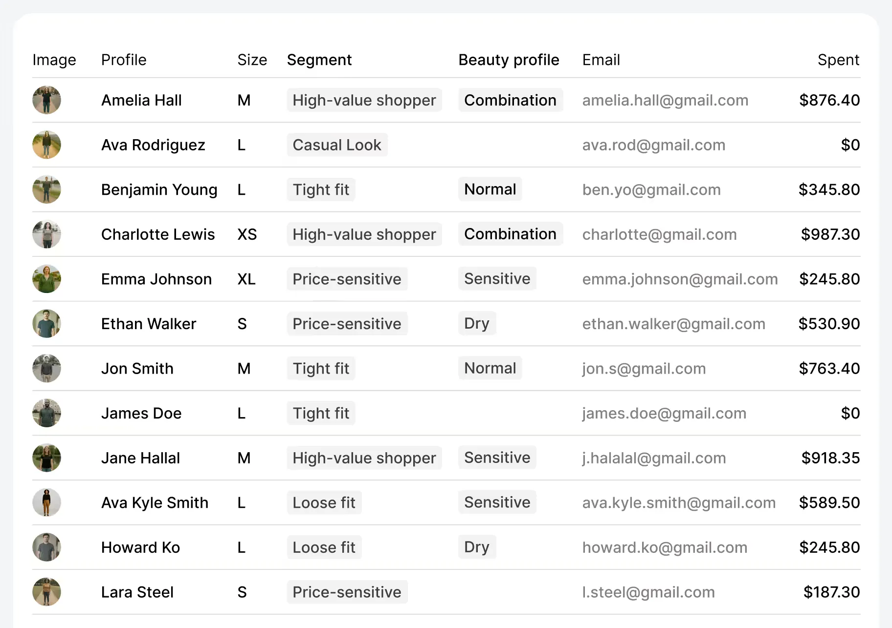 AI Shopper collecting subscribers and building rich customer profiles
