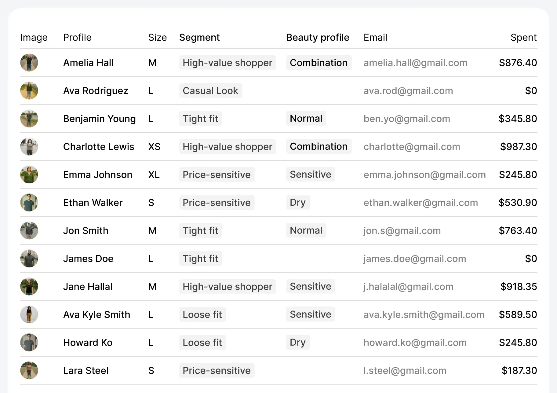 Customer profile with size, style, and preference data collected by AI Shopper